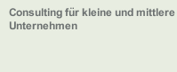 Consulting für kleine und mittlere Unternehmen