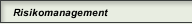 Risikomanagement