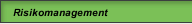Risikomanagement